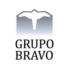 GRUPO BRAVO